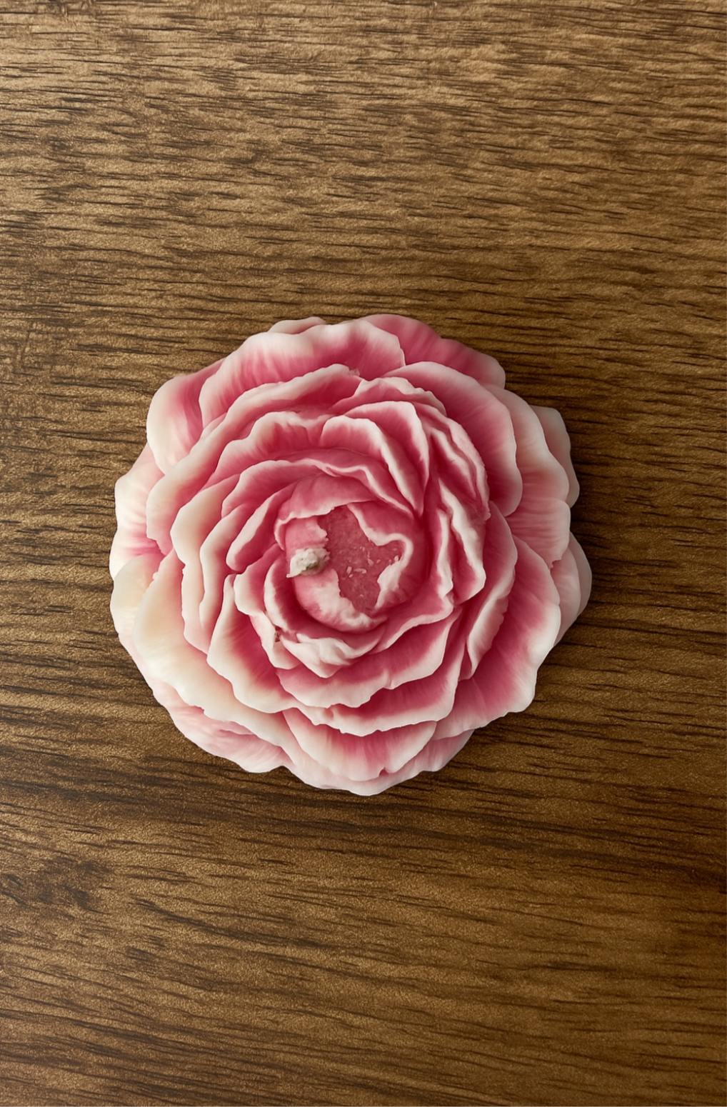 Peonia