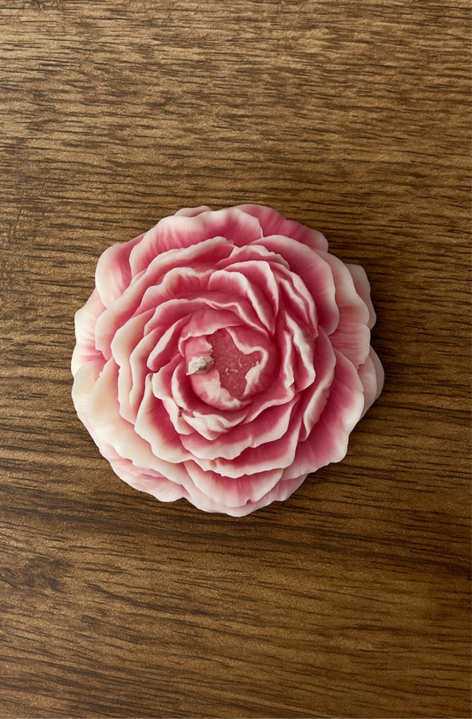 Peonia