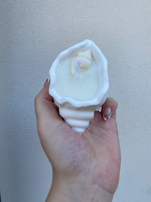 Conchiglia mini