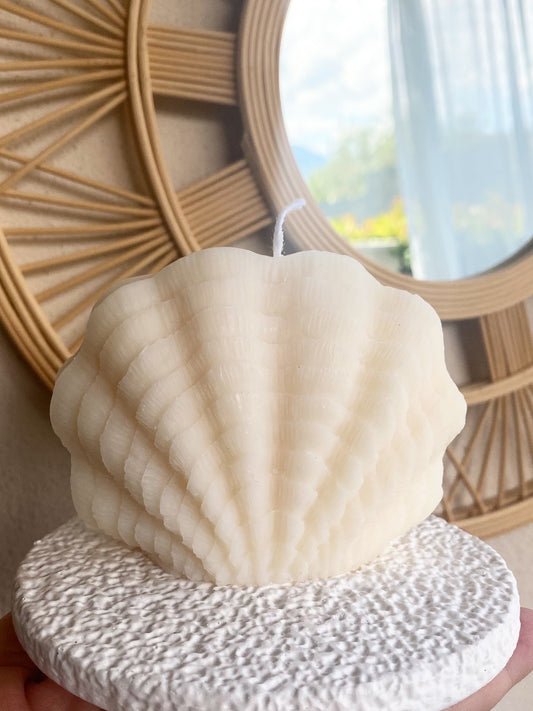 Conchiglia Stilizzata