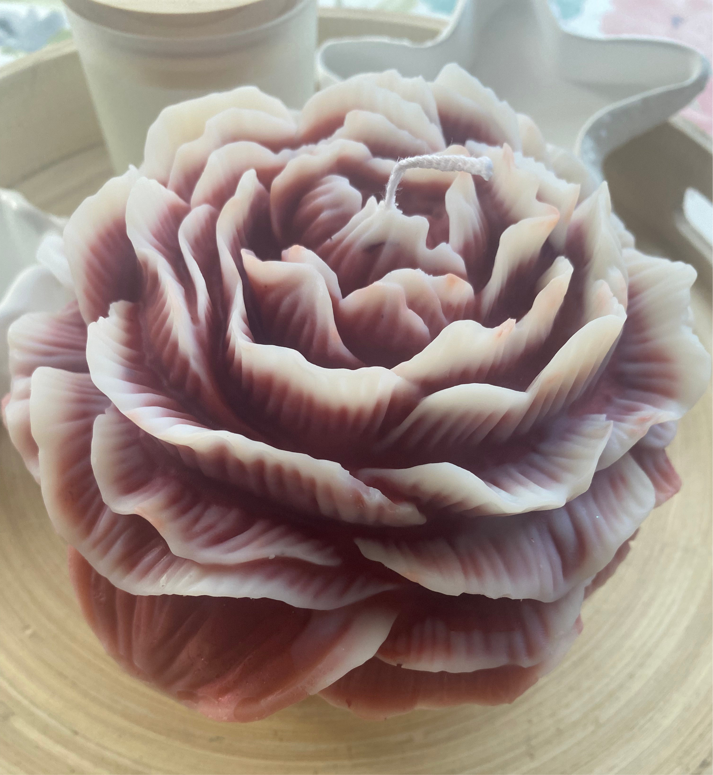 Peonia big