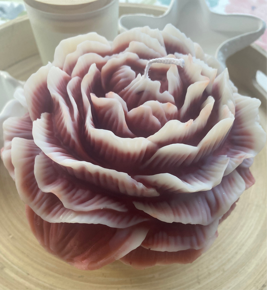 Peonia big